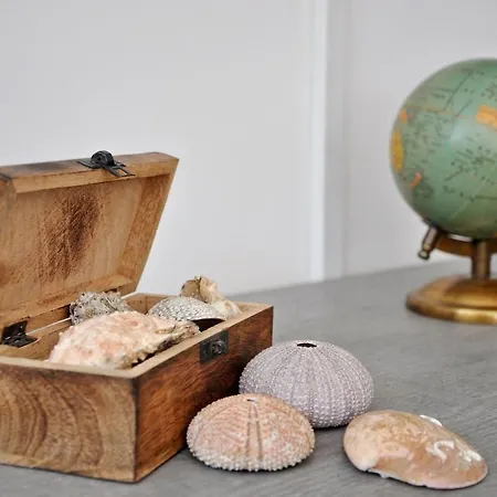 Tony Close To Everything Spalato