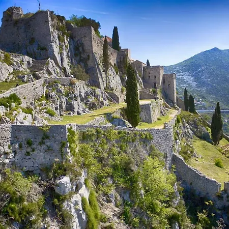 Tony Close To Everything