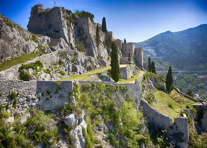 Tony Close To Everything