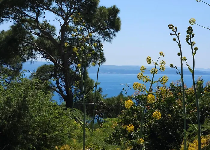 Tony Close To Everything 斯普利特