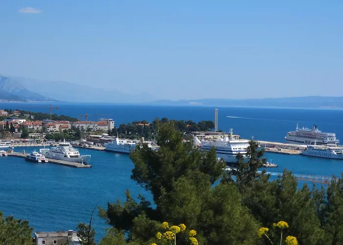 Tony Close To Everything