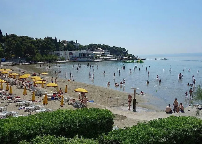 Tony Close To Everything *