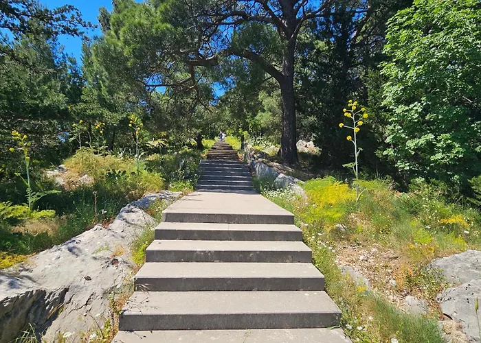 Tony Close To Everything 斯普利特